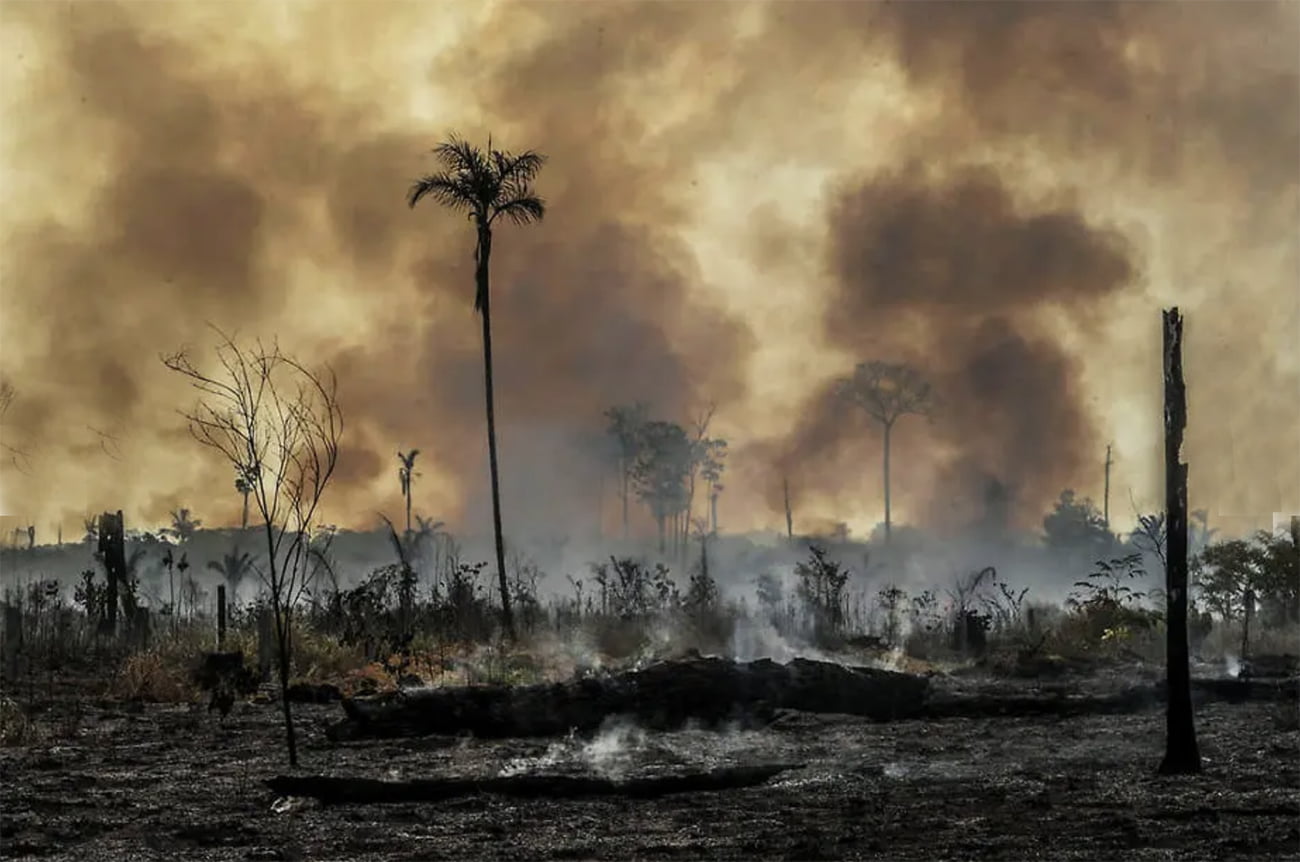 imagem de desmatamento amazônia 2020