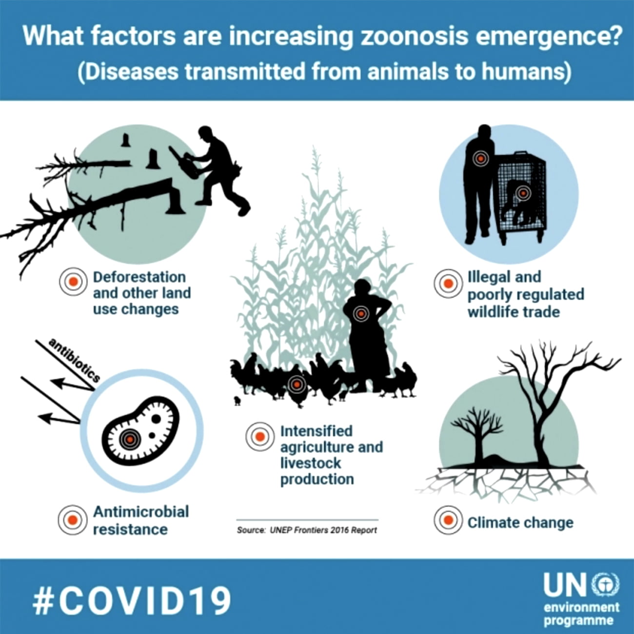 infográfico da ONU sobre fatores que aumentam doenças zoonóticas