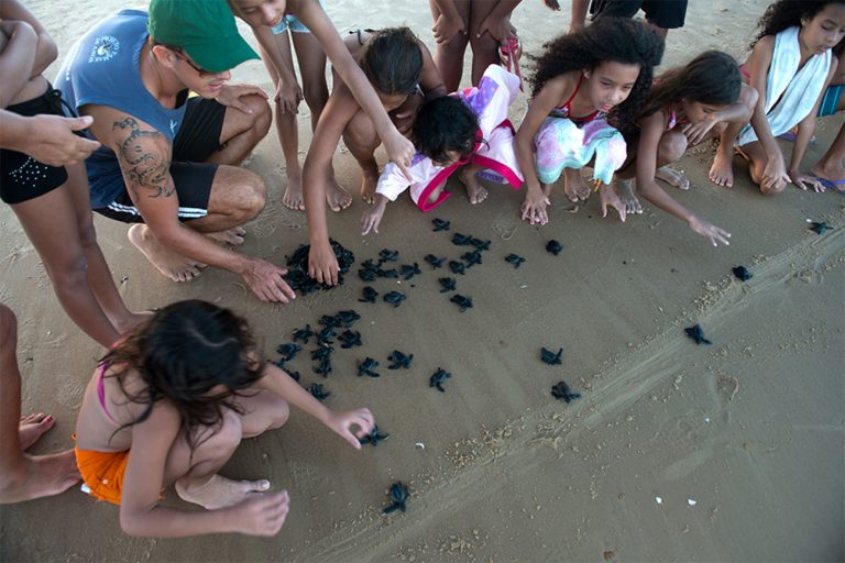 imagem de crianças com filhotes de tartaruga no Projeto tamar