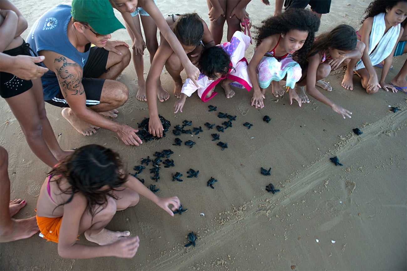 imagem de crianças com filhotes de tartaruga no Projeto tamar
