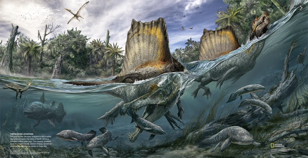 ilustração de Espinossauro, um dinossauro que gostava do mar