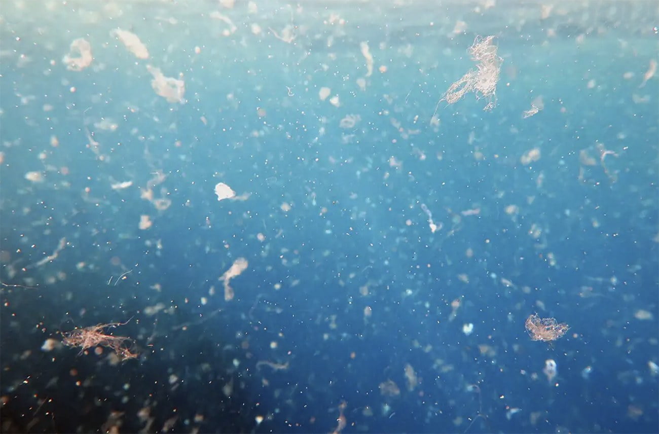 imagem de Poluição oceânica por microplástico