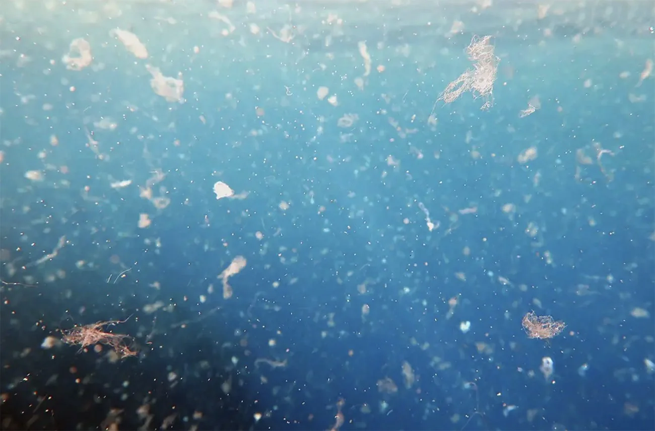 imagem de Poluição oceânica por microplástico