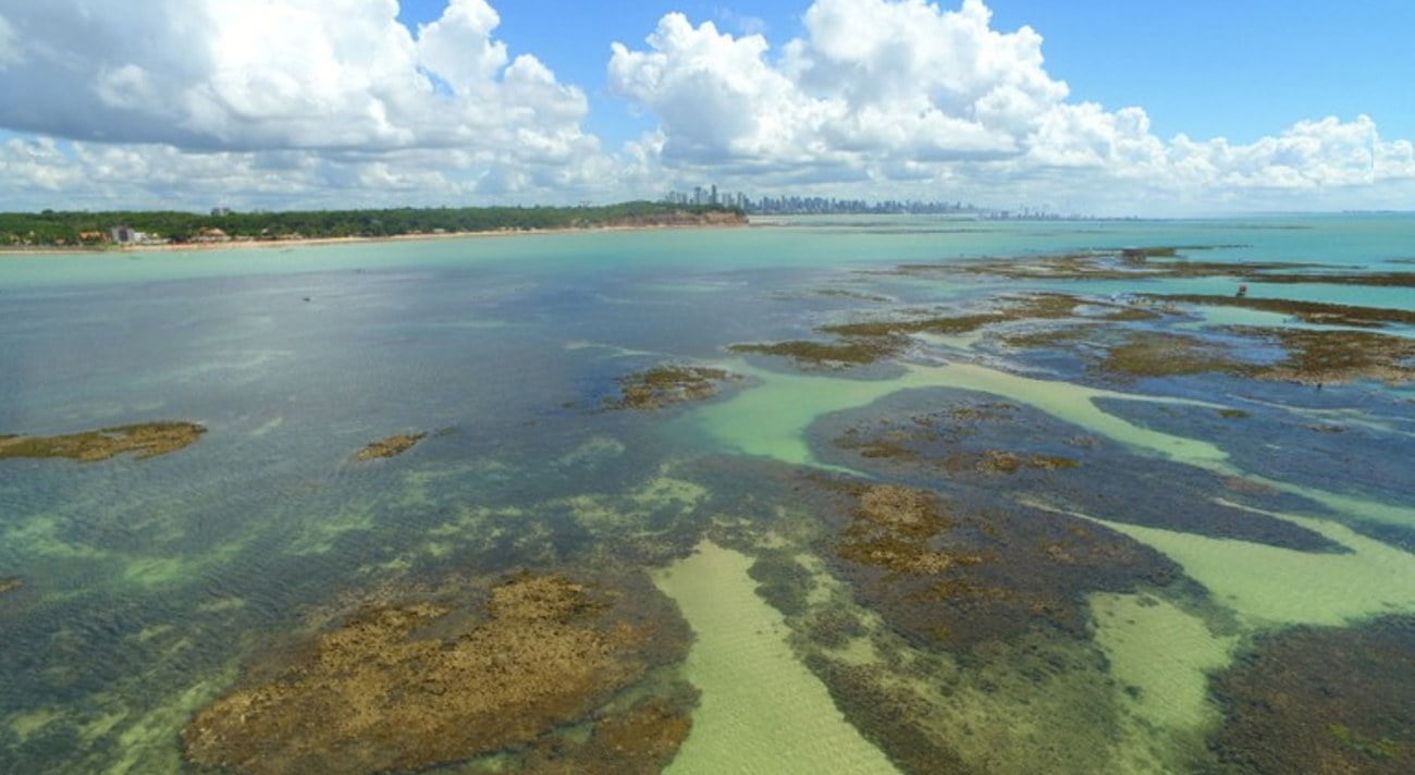 imagem de Corais da Ponta do Seixas, Paraíba