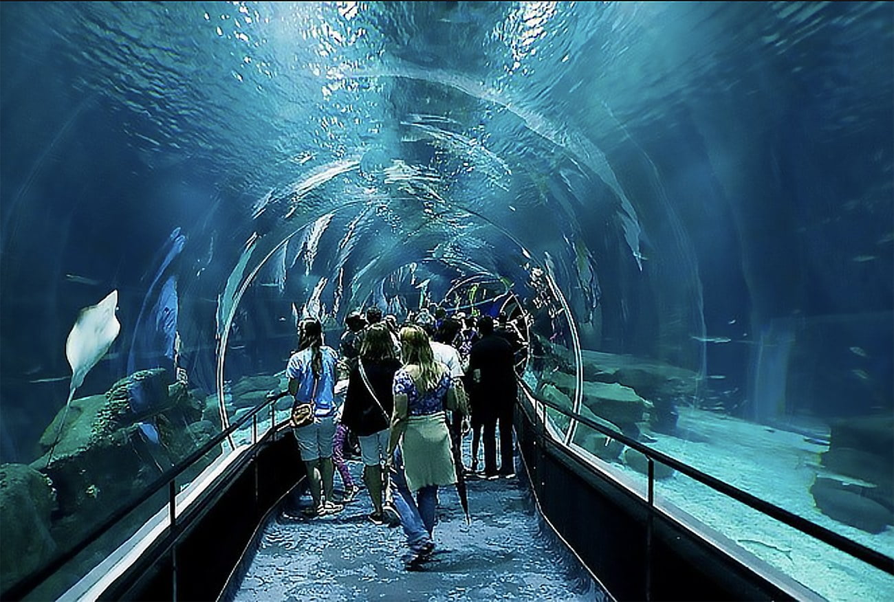 Imagem de túnel no AquaRio