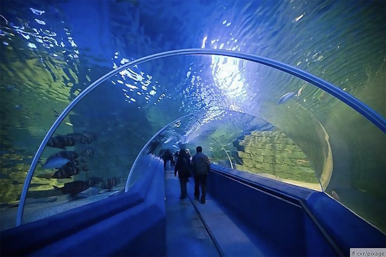 imagem de aquário na Turquia