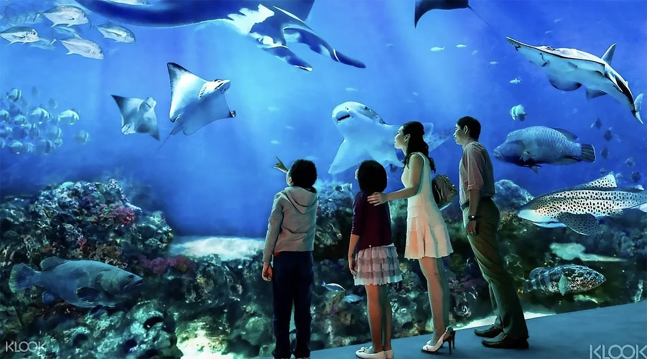 imagem do South East Asia Aquarium