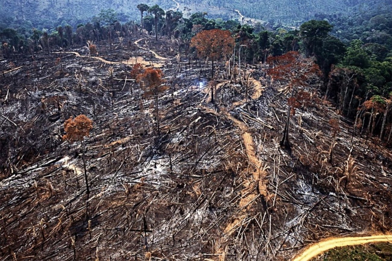 image de desmatamento na Amazônia