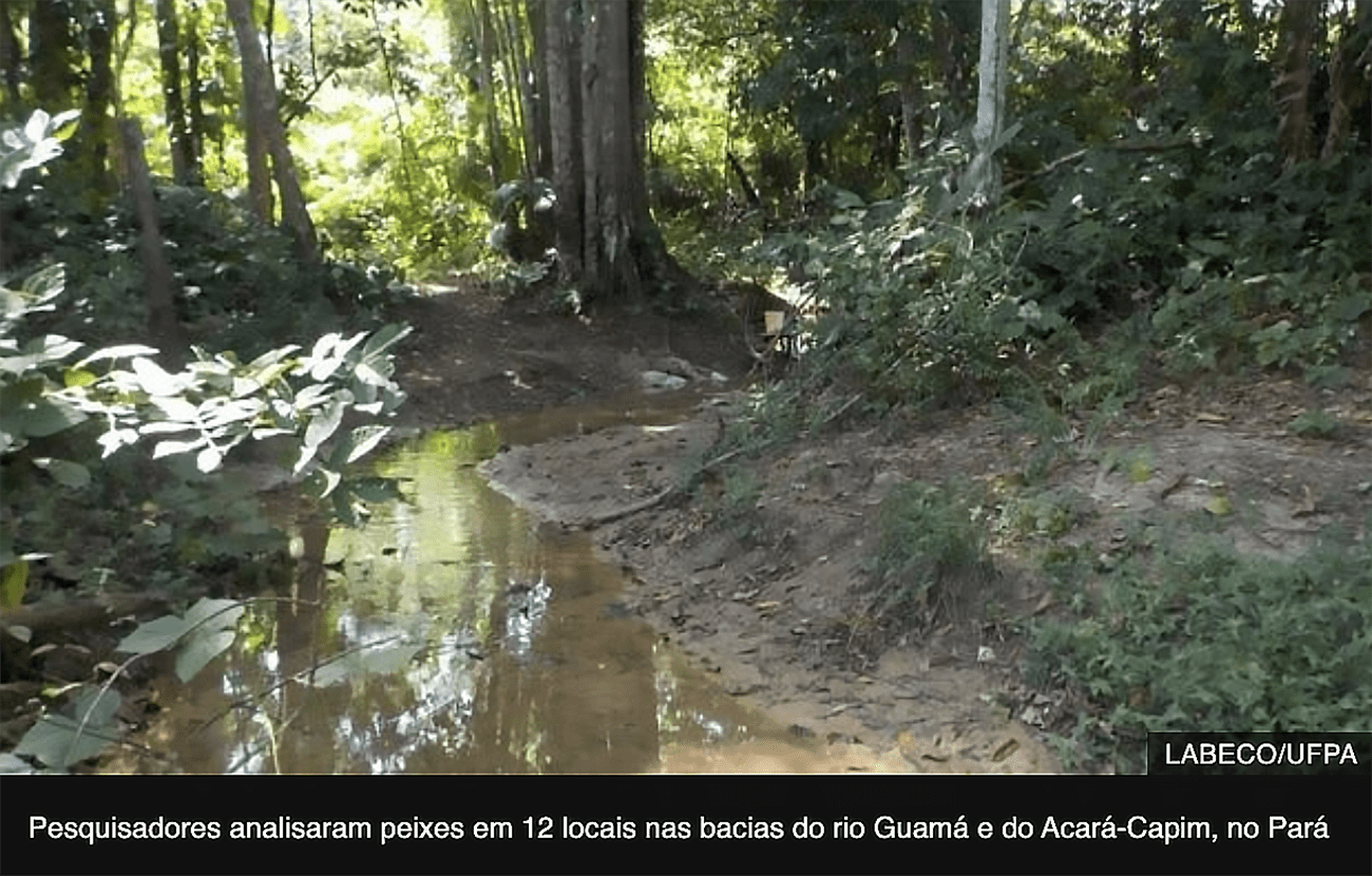 imagem de igarapé na Amazônia