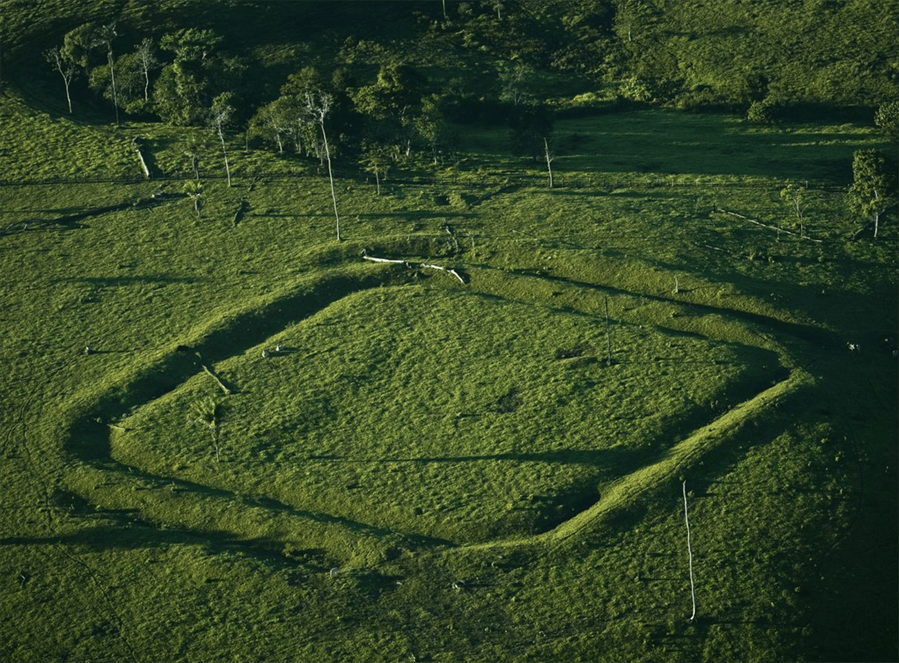 Imagem de geoglifo na Amazônia