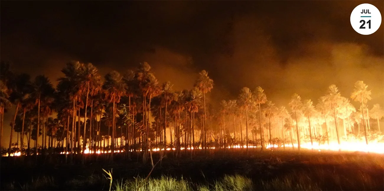 imagem de incêndio no Pantanal