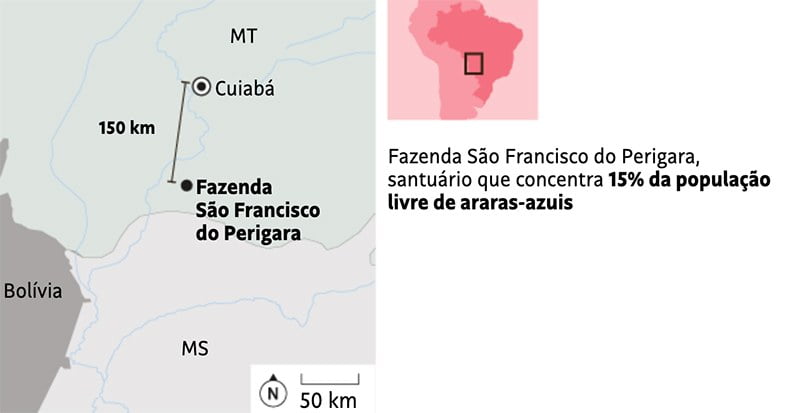ilustração da localização do refúgio das araras-azuis no Pantanal