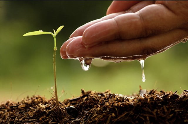 Ministério da Agricultura e Ambiente