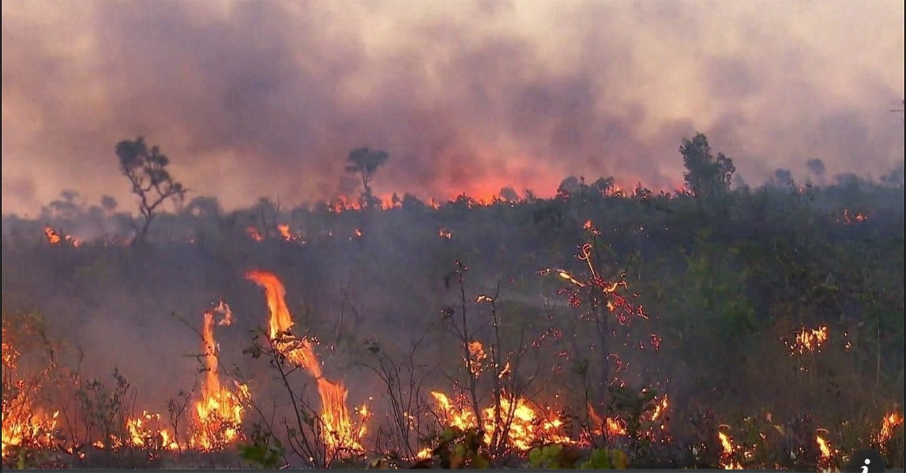 imagem de incêndio no Pantanal