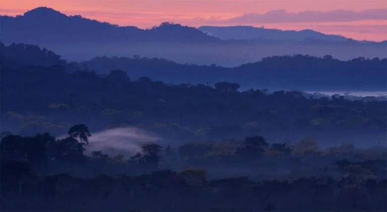 imagem de paisagem na Amazônia