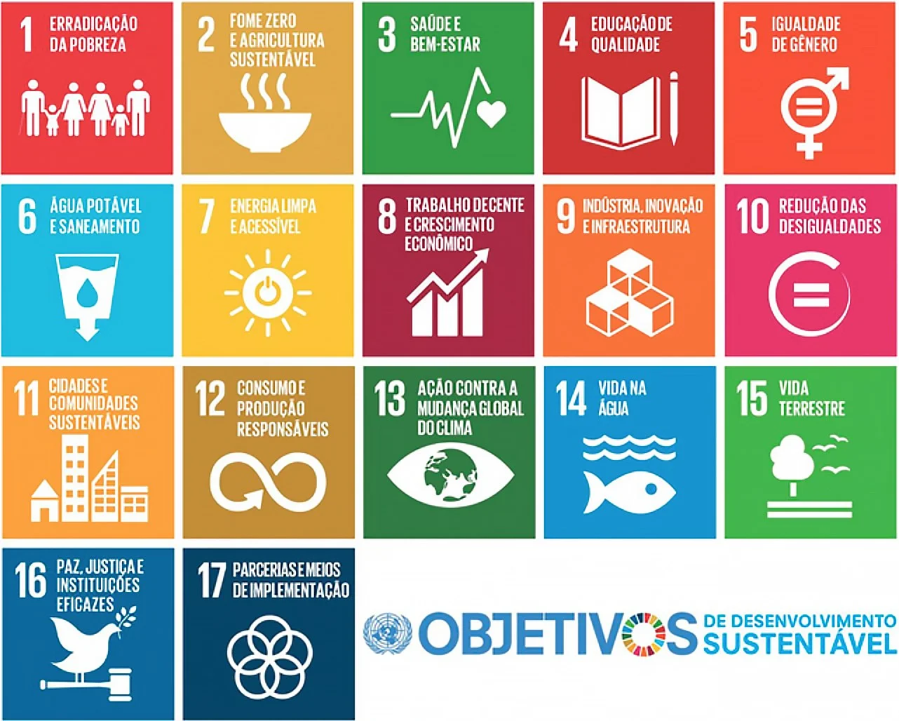 infigráfico 17 objetivos de desenvolvimento sustentável