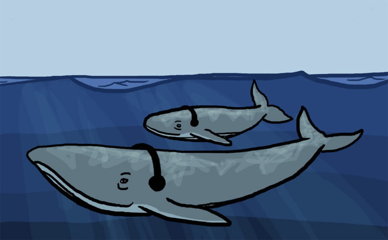 ilustração de baleias com fones de ouvido