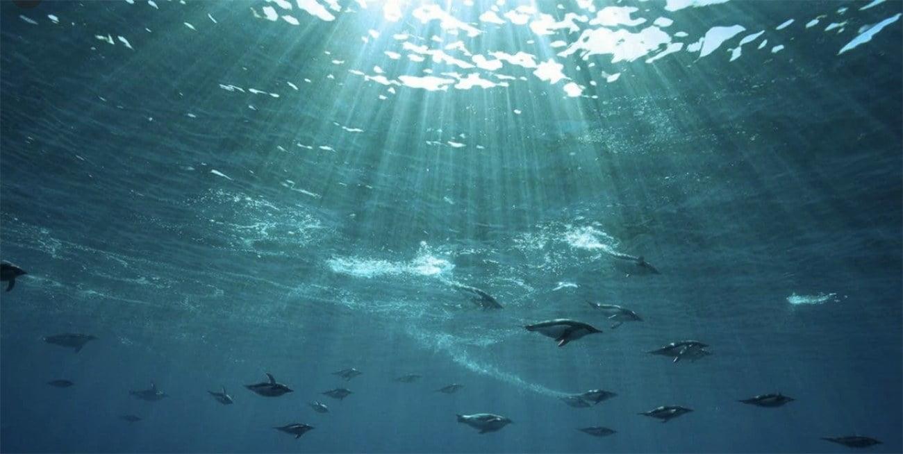 imagem submarina dos oceanos