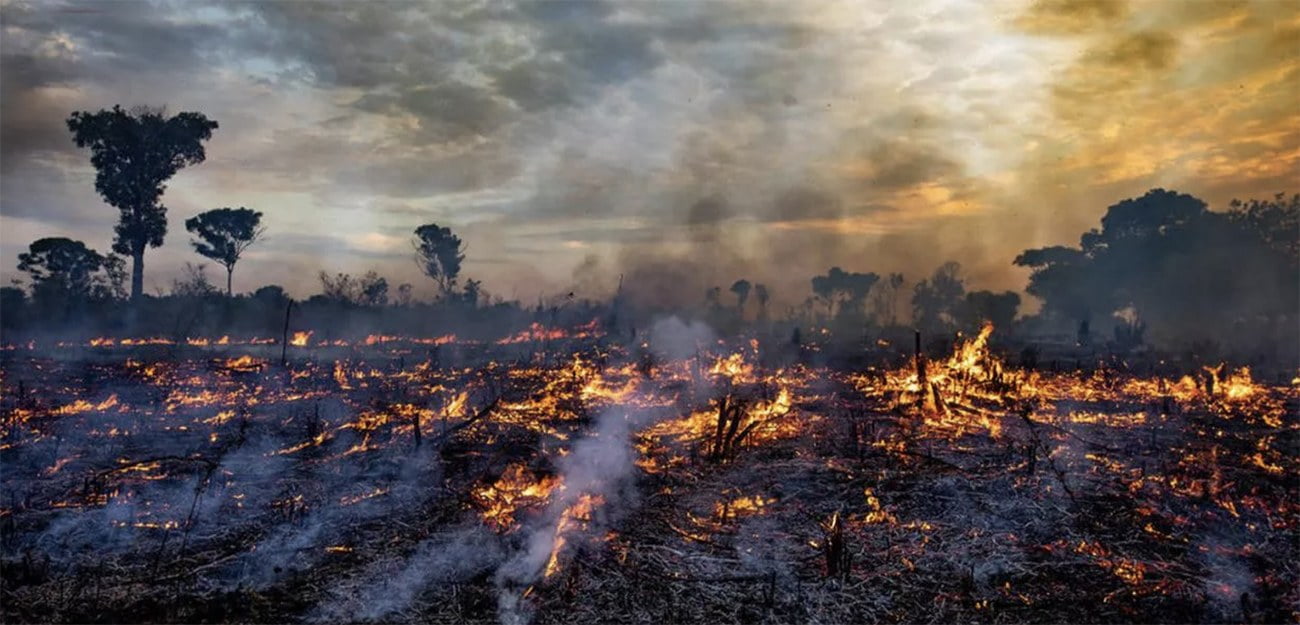imagem da Amazonia em chamas