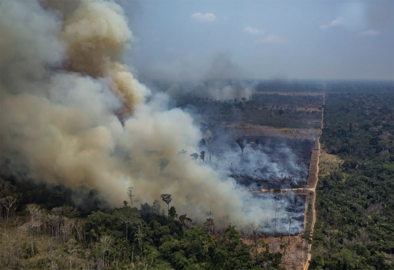 imagem de Amazonia em chamas