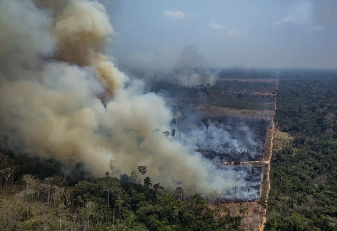 imagem de Amazonia em chamas