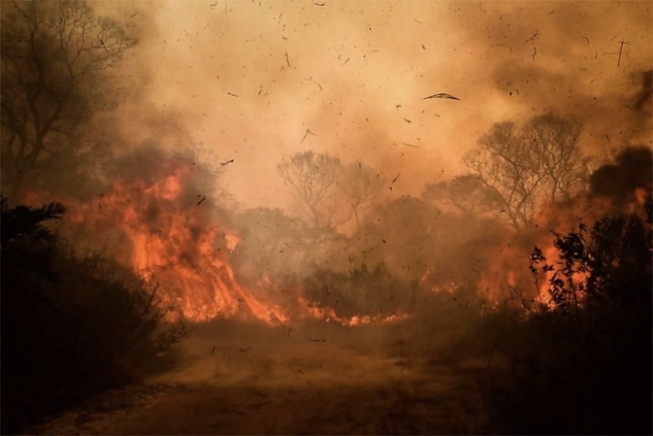 imagem do Pantanal em chamas