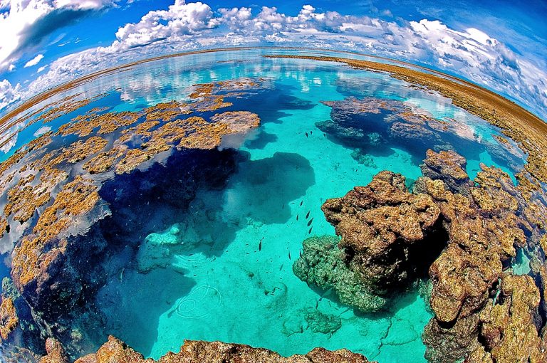 recifes de corais no Atol das Rocas