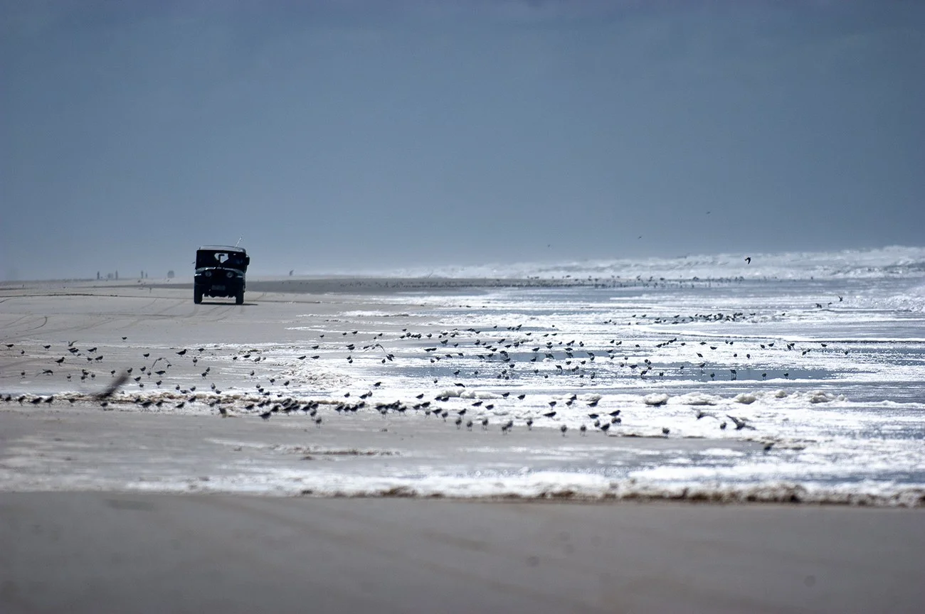 imagem de jeep na praia cheia de maçaricos