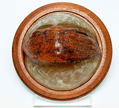 imagem de um coco
