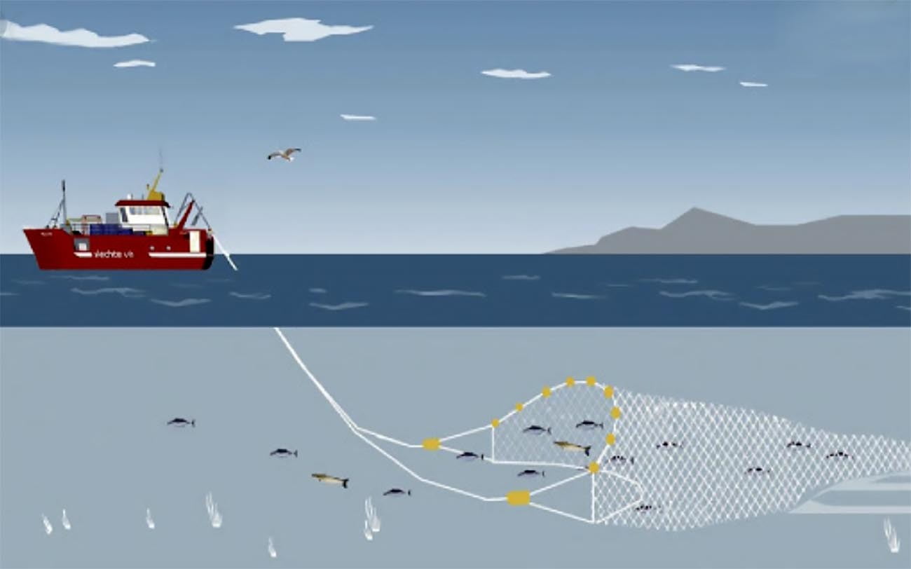Ilustração de pesca de arrasto