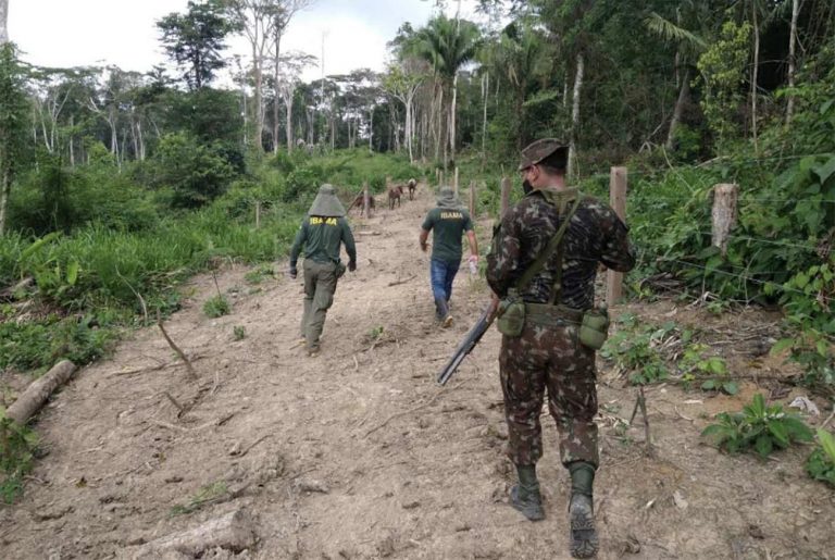 Imagem da Operação Verde Brasil 2 na Amazônia