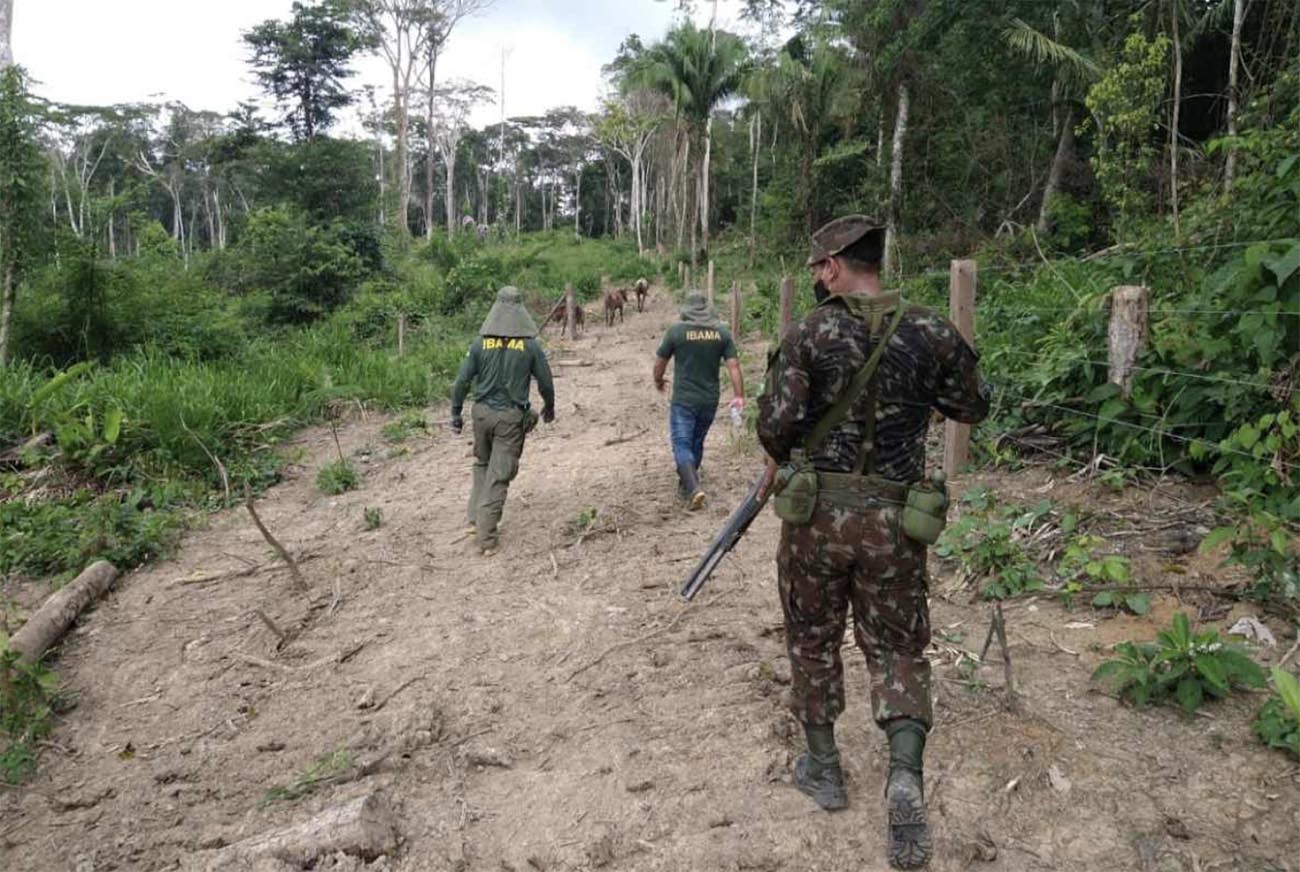Imagem da Operação Verde Brasil 2 na Amazônia
