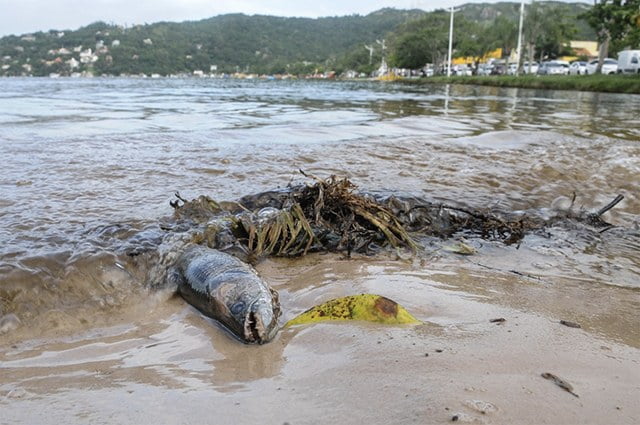 Lagoa da Conceição e enxurrada mais poluição Mar Sem Fim