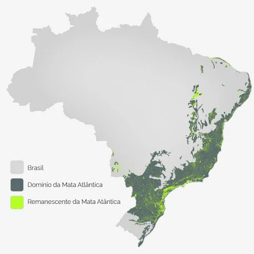 Imagem de mapa do Brasil
