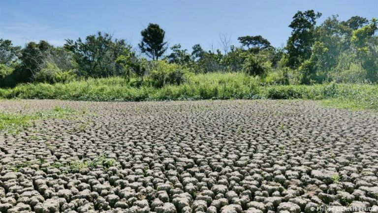 Imagem de seca no Pantanal