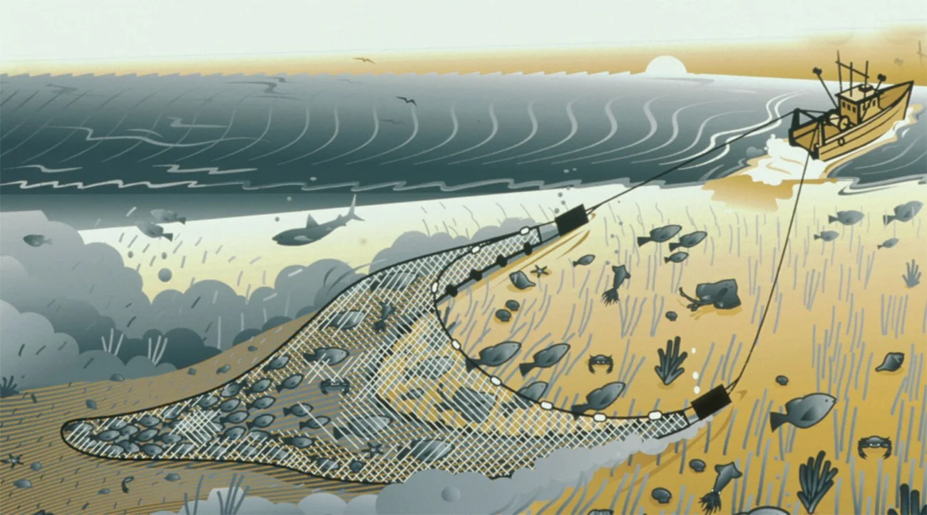 Ilustração mostra pesca de arrasto de fundo