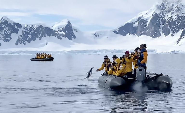 Iamgem de pinguim e bote de turistas na Antártica