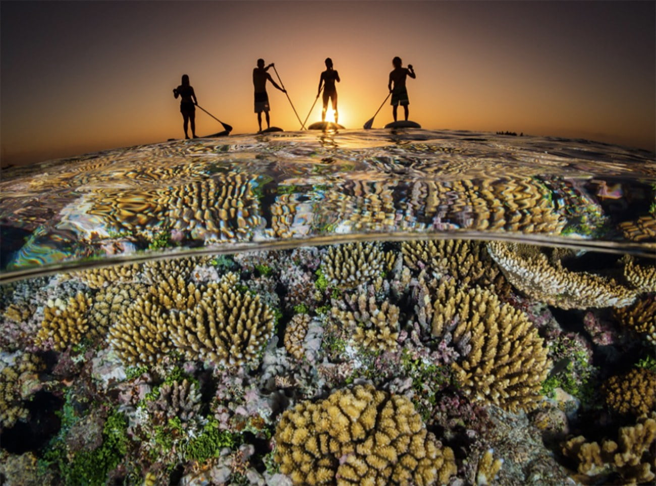 Imagem de recifes de corais