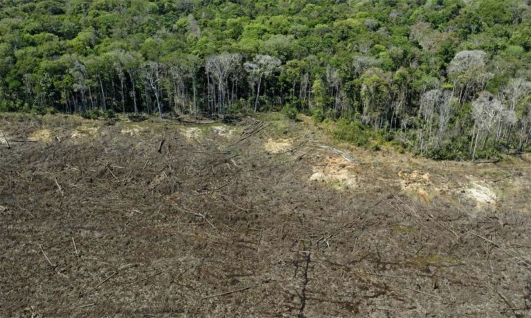 imagem de desmatamento recorde na Amazônia