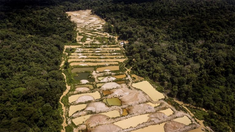 Garimpo ilegal na Amazônia e seus muitos problemas - Mar Sem Fim