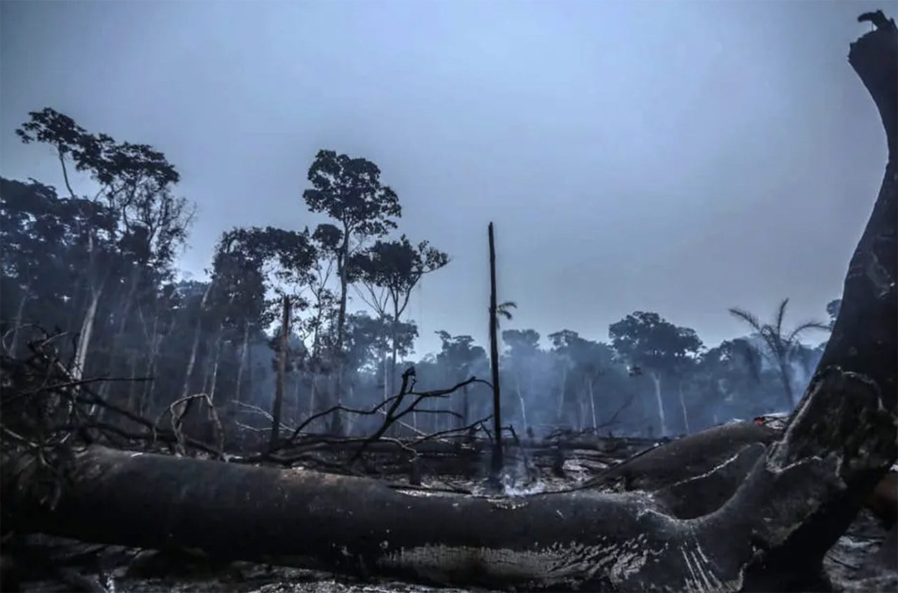 Imagem de queimada na Amazônia