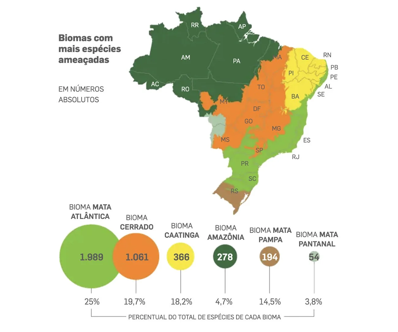 Infográfico mostra espécies amaçadas nos biomas brasileiros