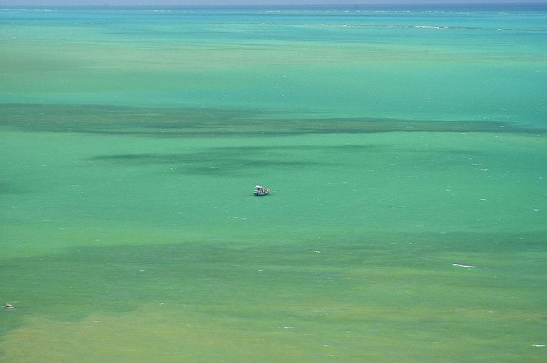 imagem mostra oceano da cor verde