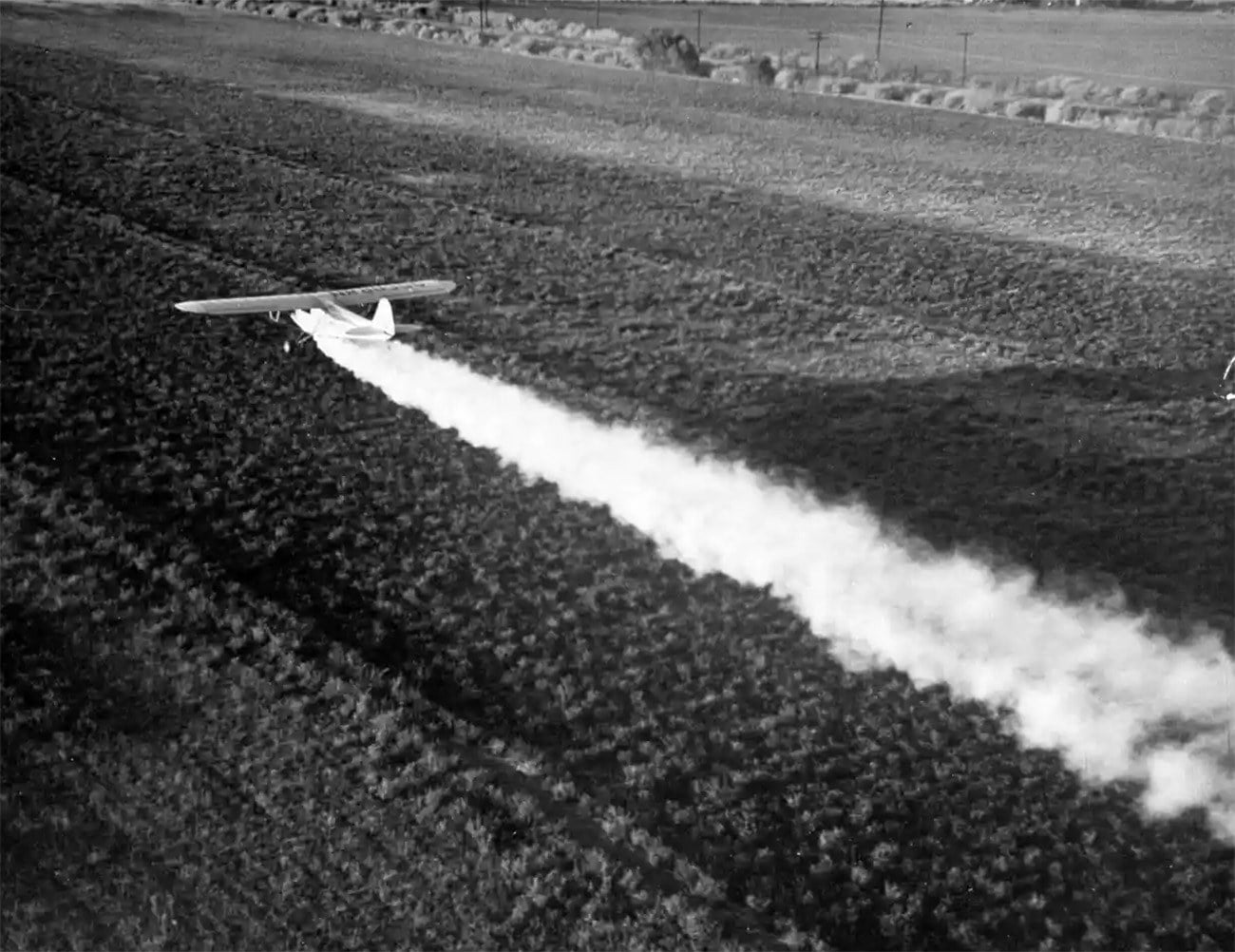 Imagem e avião pulverizando DDT em plantação