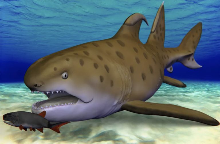 Ilustração de Tubarão Godzilla