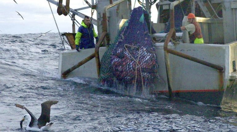 Imagem de barco de arrasto.