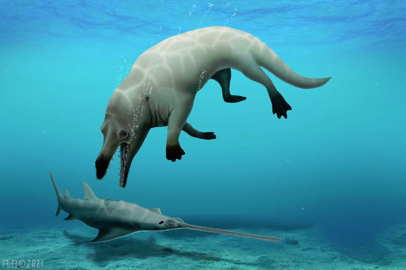 Ilustração de ancestral de baleia
