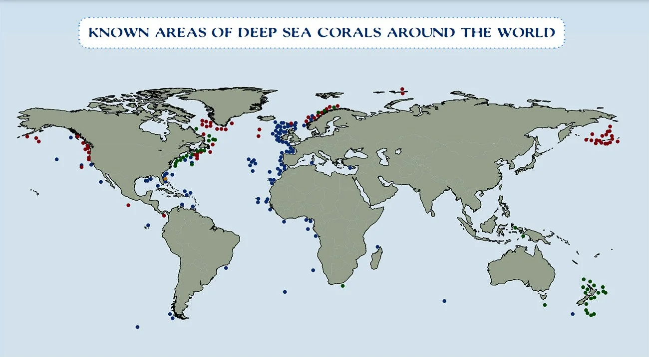 imagem de mapa de corais profundos no planeta
