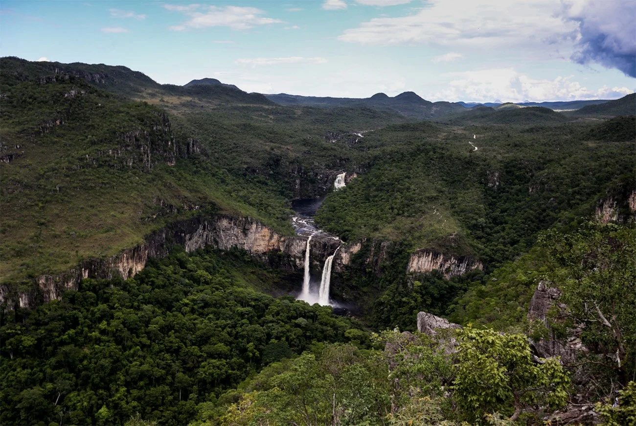 Imagem de nascentes de água no bioma Cerrado