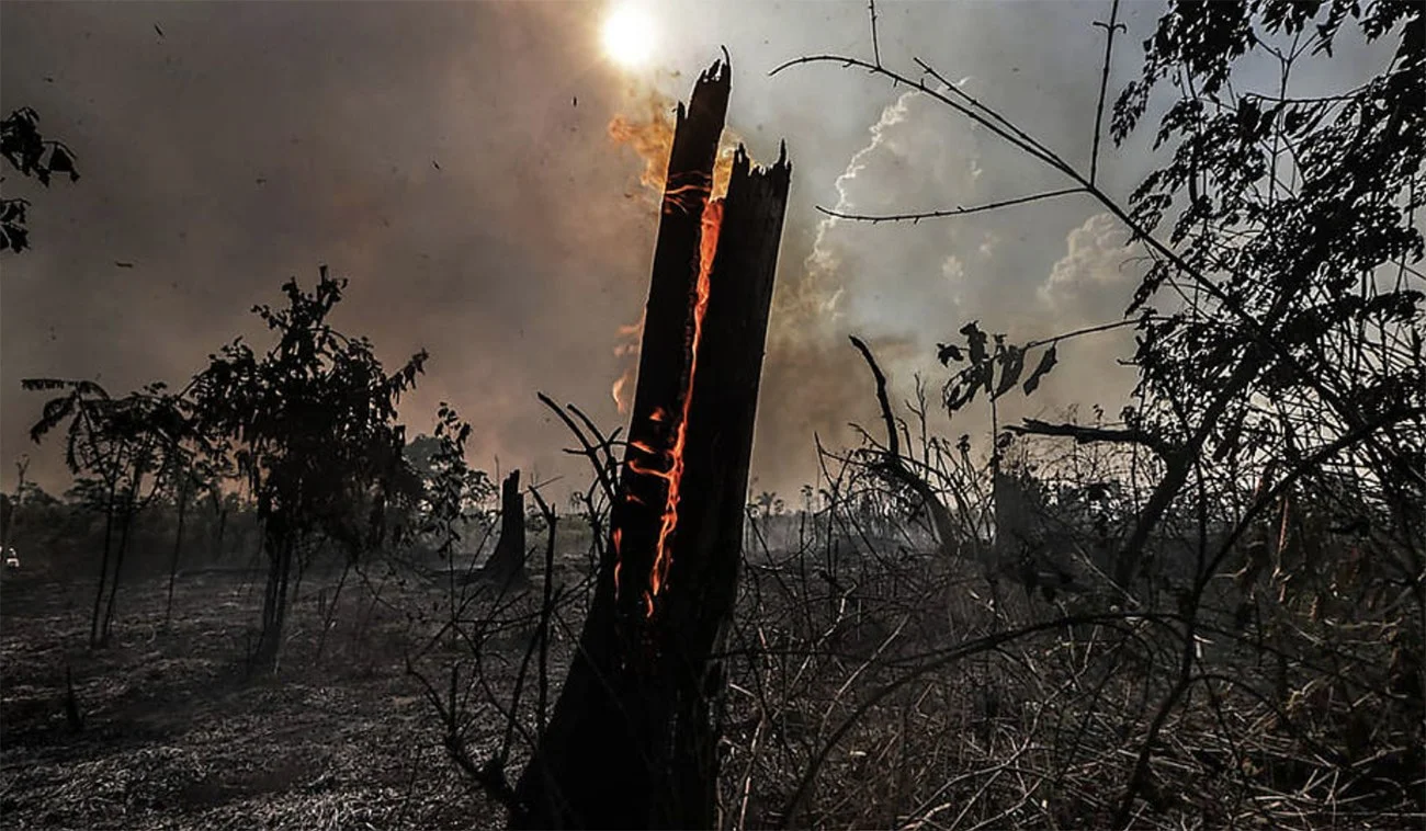 Imagem de queimada na Amazônia